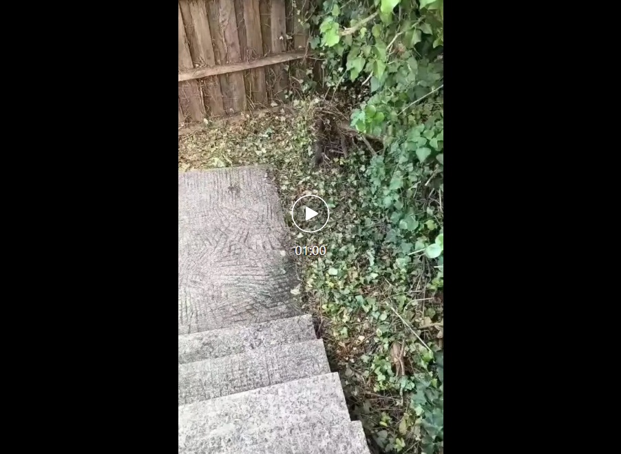 視 頻