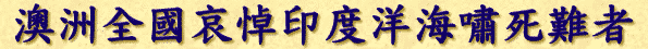 �D�w����s��1226�F�n�Ȯ��S������